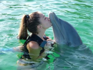 mit Delfinen schwimmen