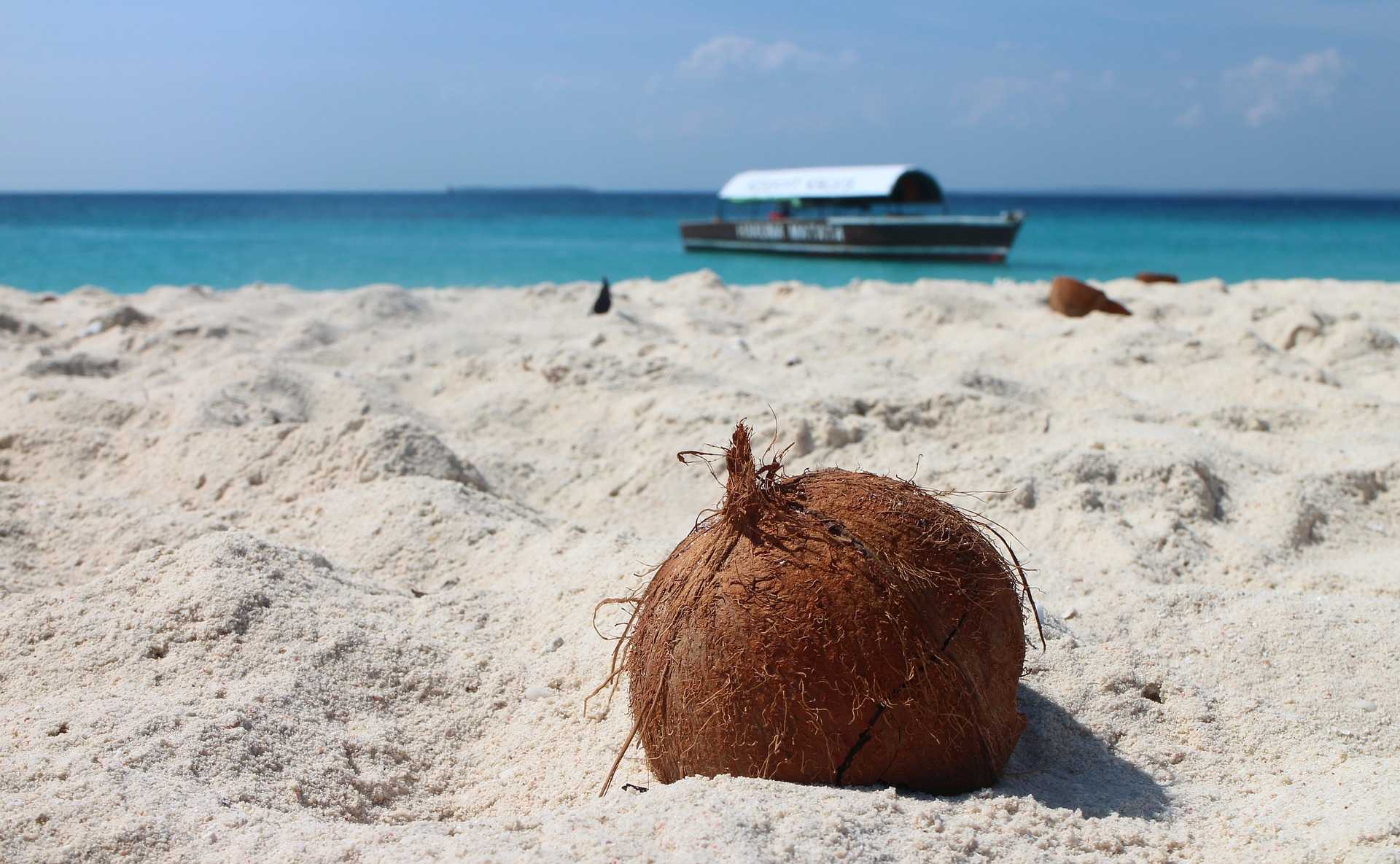 Strand mit Kokosnuss