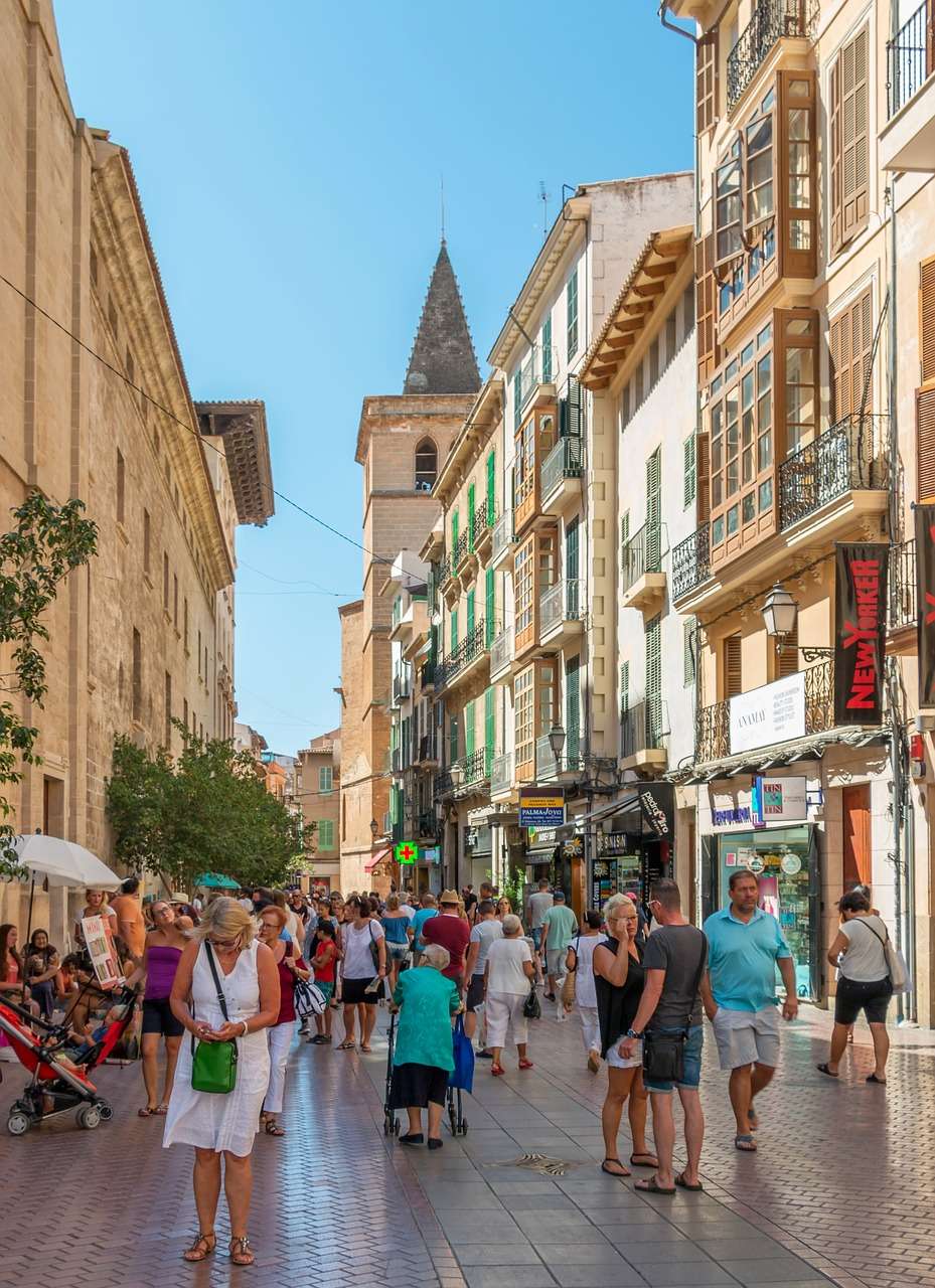 Palme de Mallorca