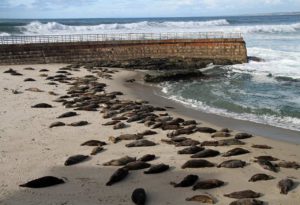 La Jolla, San Diego